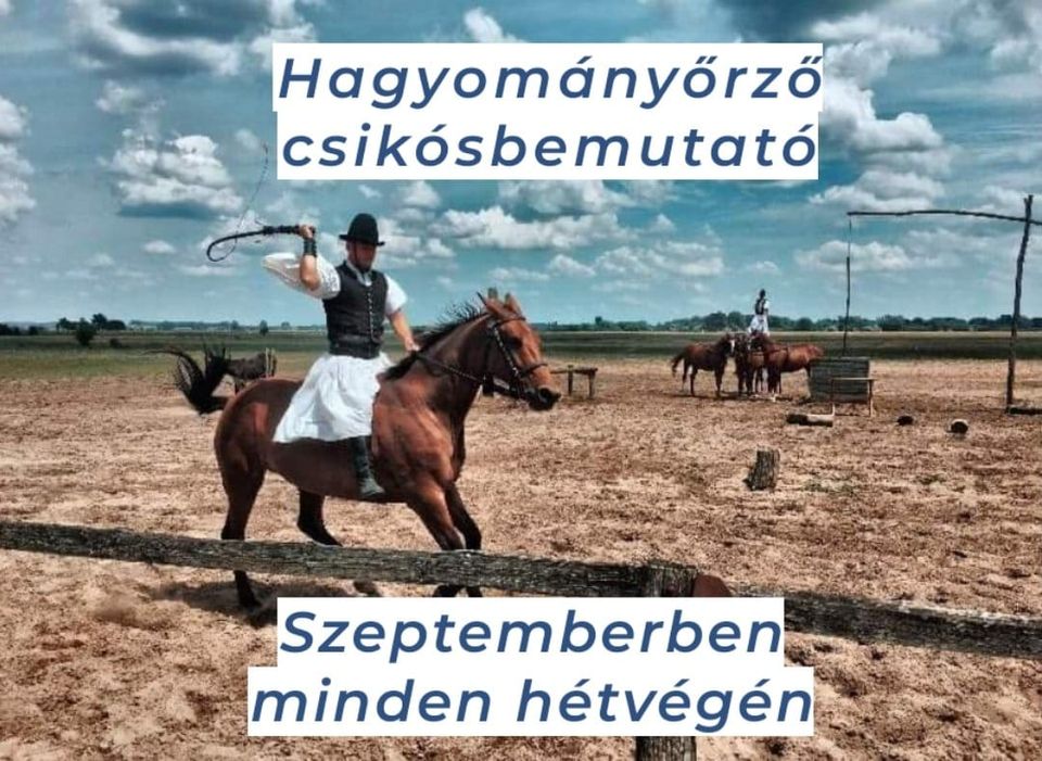 Hagyományőrző csikós bemutató
